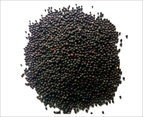 菜籽制油預處理加工