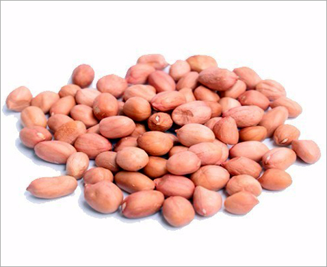 花生制油預處理加工