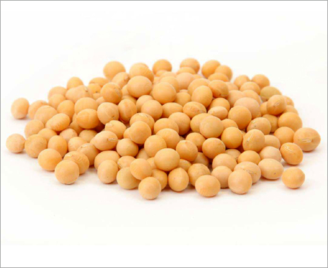 大豆制油預處理加工